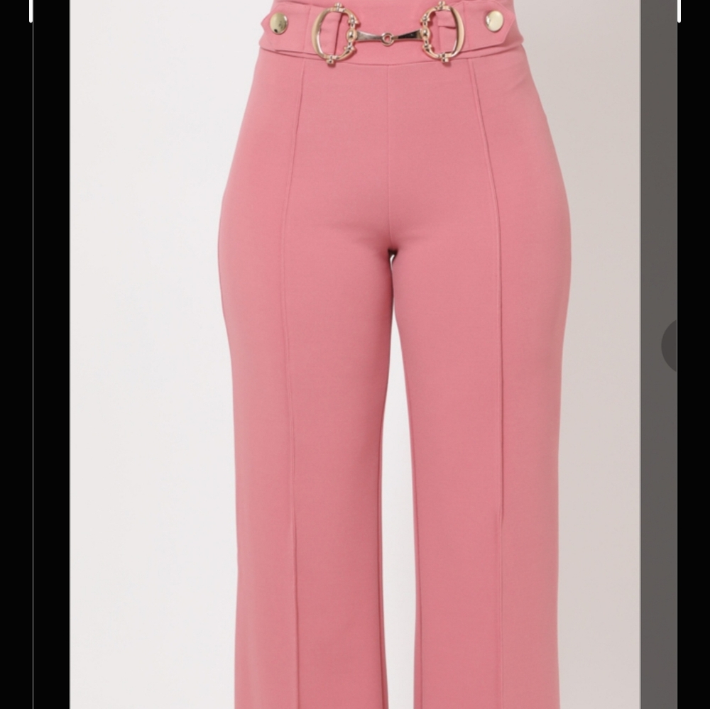 NWOT Pink Dress Pants  W/Hardware S-M-L